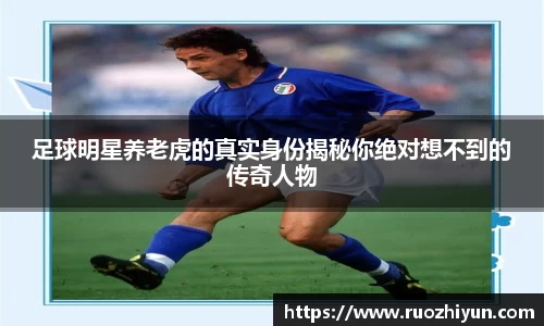 足球明星养老虎的真实身份揭秘你绝对想不到的传奇人物