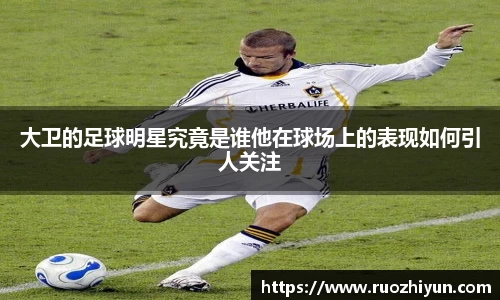 db电竞官网入口