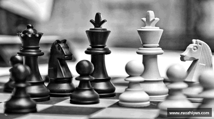 精彩瞬间，尽在体育